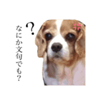 キャロ と はるのスタンプ（個別スタンプ：8）