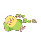 たまに腹立つかわいいセキセイインコ（個別スタンプ：8）