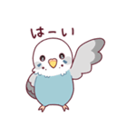 たまに腹立つかわいいセキセイインコ（個別スタンプ：10）