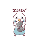 たまに腹立つかわいいセキセイインコ（個別スタンプ：13）