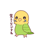 たまに腹立つかわいいセキセイインコ（個別スタンプ：15）