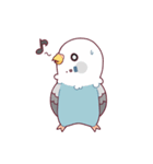 たまに腹立つかわいいセキセイインコ（個別スタンプ：17）