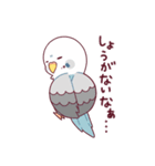 たまに腹立つかわいいセキセイインコ（個別スタンプ：20）