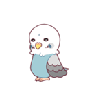たまに腹立つかわいいセキセイインコ（個別スタンプ：23）