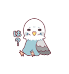 たまに腹立つかわいいセキセイインコ（個別スタンプ：24）