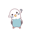 たまに腹立つかわいいセキセイインコ（個別スタンプ：25）