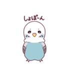 たまに腹立つかわいいセキセイインコ（個別スタンプ：31）