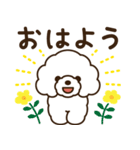 モコモコ犬の毎日（個別スタンプ：1）