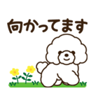 モコモコ犬の毎日（個別スタンプ：24）