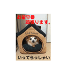 あんずの思い（個別スタンプ：3）