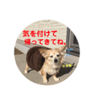あんずの思い（個別スタンプ：5）