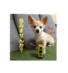あんずの思い（個別スタンプ：8）