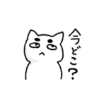 まゆげ猫の日常使いスタンプ（個別スタンプ：36）