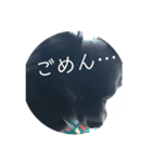 わんこの写真（個別スタンプ：18）