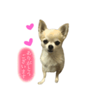 Loveの日常②（個別スタンプ：2）