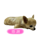 Loveの日常②（個別スタンプ：7）