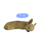 Loveの日常②（個別スタンプ：10）