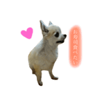 Loveの日常②（個別スタンプ：11）