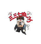 僕 かぶくんやで！（個別スタンプ：4）