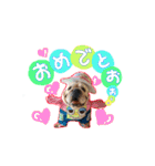 僕 かぶくんやで！（個別スタンプ：11）