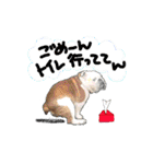 僕 かぶくんやで！（個別スタンプ：14）