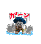 僕 かぶくんやで！（個別スタンプ：20）