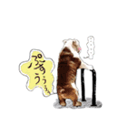 僕 かぶくんやで！（個別スタンプ：21）