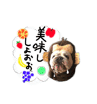 僕 かぶくんやで！（個別スタンプ：22）