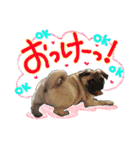僕 かぶくんやで！（個別スタンプ：32）