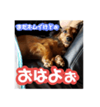 Calynの一日（個別スタンプ：1）