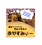 Calynの一日（個別スタンプ：2）