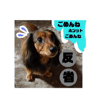 Calynの一日（個別スタンプ：4）