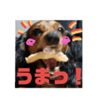 Calynの一日（個別スタンプ：6）