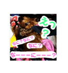 Calynの一日（個別スタンプ：7）