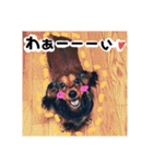 Calynの一日（個別スタンプ：10）