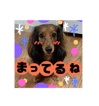 Calynの一日（個別スタンプ：12）
