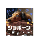 Calynの一日（個別スタンプ：13）