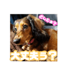 Calynの一日（個別スタンプ：14）