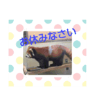 アニマル ワールド（個別スタンプ：7）