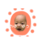 ひよちゃんと一緒（個別スタンプ：1）