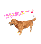 サン 来夢（個別スタンプ：12）