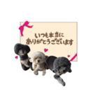笑顔になれるわんこ達♪ 「毎日使える編」（個別スタンプ：6）