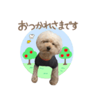 笑顔になれるわんこ達♪ 「毎日使える編」（個別スタンプ：12）