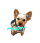 好きわん！（個別スタンプ：2）