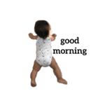 まいにちらんちゃん（個別スタンプ：1）