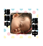 せらくん のスタンプ（個別スタンプ：17）