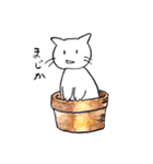 いやしねこ☆ニャンドラゴラ（個別スタンプ：13）