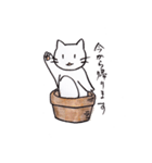 いやしねこ☆ニャンドラゴラ（個別スタンプ：19）