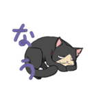 色猫卓（個別スタンプ：24）