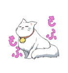 色猫卓（個別スタンプ：25）